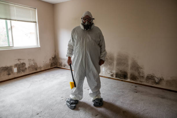 Best Mold Testing and Inspection Services in Goldenrod, FL